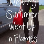 How My Summer Went Up in Flames - Jennifer Salvato Doktorski